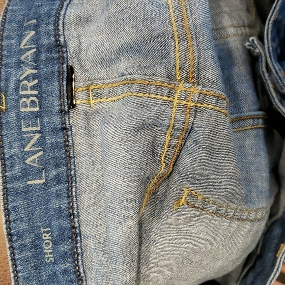 Lane Bryant Cut-Off Denim Shorts Carpenter 40" Waist VGUC - Picture 4 of 11